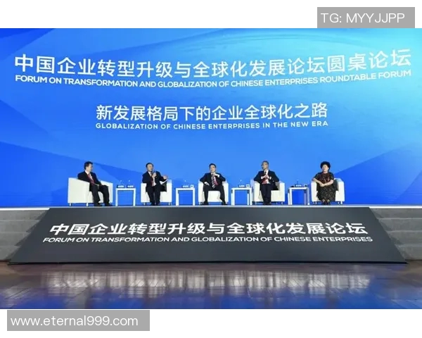 羽毛球深度探讨深圳羽毛球队的转型与发展之路 羽毛球深度探讨深圳羽毛球队的转型与发展之路