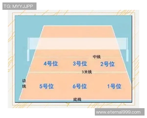 上海排球队灵活性探讨：如何在赛场上应对变化与挑战