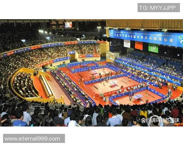 乒乓球的荣耀与奋斗:杭州乒乓球队成长之路全景纪实 乒乓球的荣耀与奋斗:杭州乒乓球队成长之路全景纪实