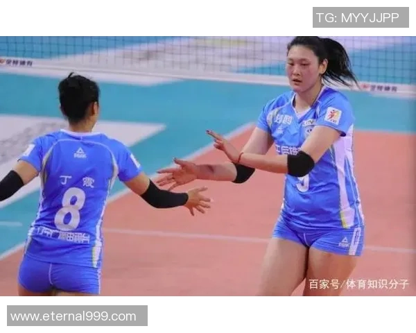 对话杨静：回顾排球生涯的辉煌与挑战，展望未来的无限可能