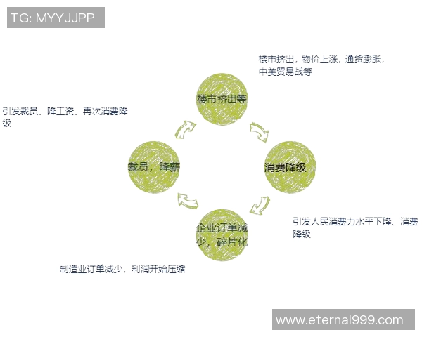 成都排球队个人能力分析与战术配合的深度探讨与展望