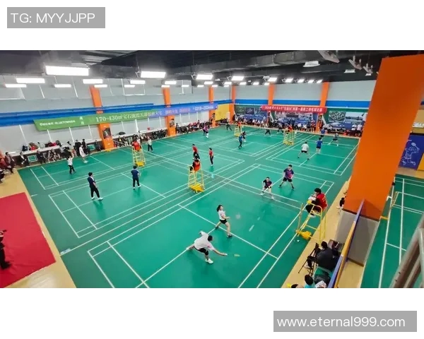 羽毛球精神：深入探访北京羽毛球队的拼搏与荣耀之路