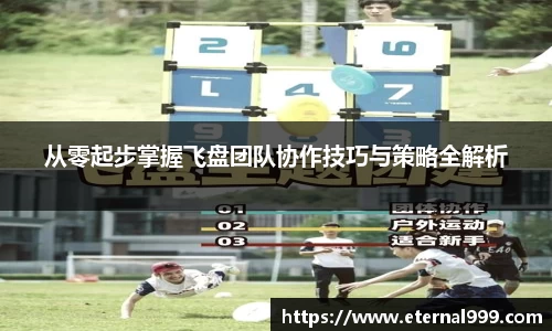 从零起步掌握飞盘团队协作技巧与策略全解析