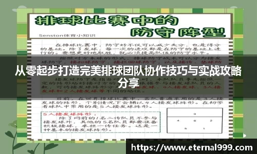 从零起步打造完美排球团队协作技巧与实战攻略分享