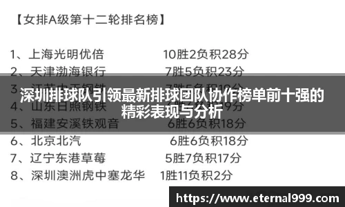 深圳排球队引领最新排球团队协作榜单前十强的精彩表现与分析