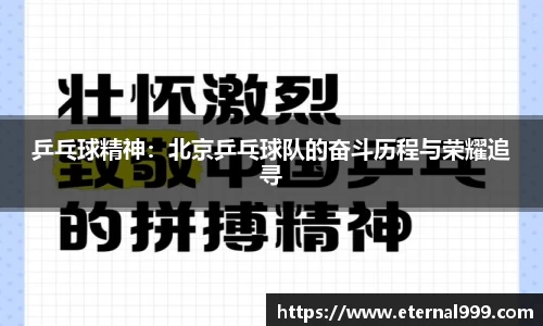 乒乓球精神：北京乒乓球队的奋斗历程与荣耀追寻